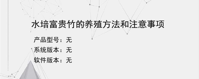 水培富贵竹的养殖方法和注意事项