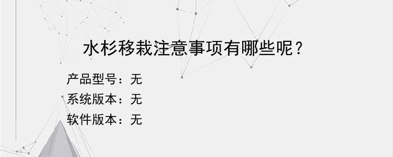 水杉移栽注意事项有哪些呢？