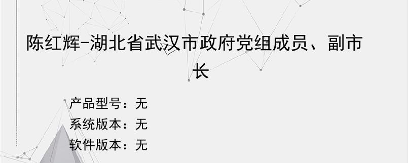 陈红辉-湖北省武汉市政府党组成员、副市长