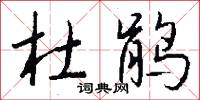 杜鹃怎么写好看