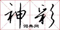 神彩怎么写好看