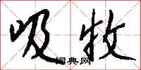 吸收怎么写好看