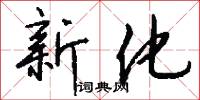 新化怎么写好看