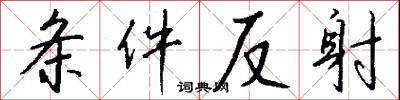 条件反射怎么写好看