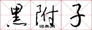 黑附子怎么写好看