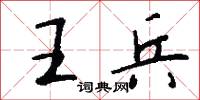 王兵怎么写好看