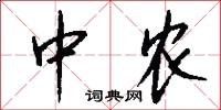 中农怎么写好看