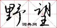 野望怎么写好看