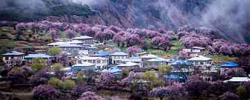 人间四月芳菲尽山寺桃花始盛开哲学原理