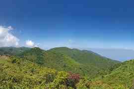 大围山什么时候去最好 大围山杜鹃花什么时候开