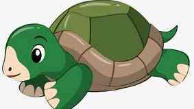 陆龟和水龟的区别 陆龟和水龟的区别