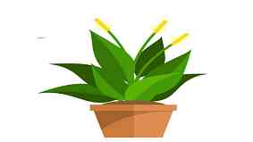 无性生殖有哪些 无性生殖有哪些