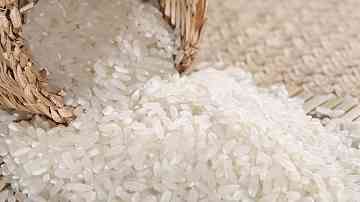 蛀米虫是什么意思 蛀米虫是什么意思