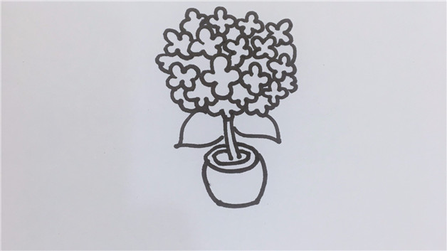 丁香花简笔画