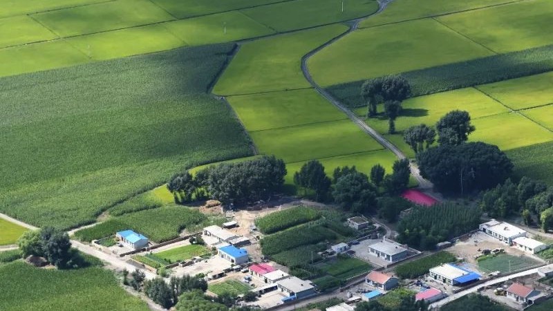 中国四大平原名称